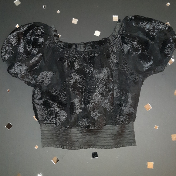 Sheer and satin applique top - Picture 3 of 4